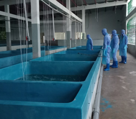 IMG 1573811479315 1573944141862